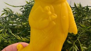 Beeswax Skater Bear