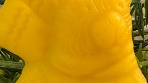 Beeswax Skater Bear