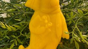 Beeswax Skater Bear