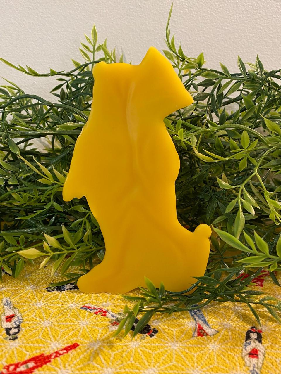 Beeswax Skater Bear